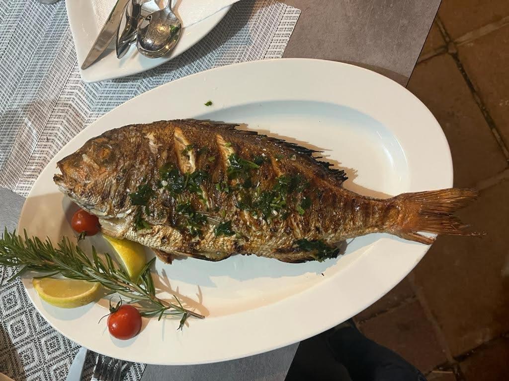 Vila Nataly Trogir Ngoại thất bức ảnh